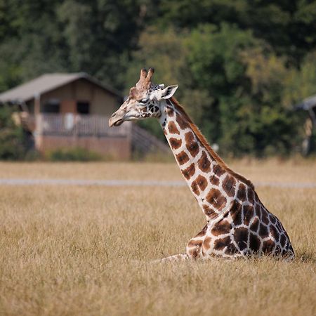 Knuthenborg Safaripark Ξενοδοχείο Maribo Εξωτερικό φωτογραφία