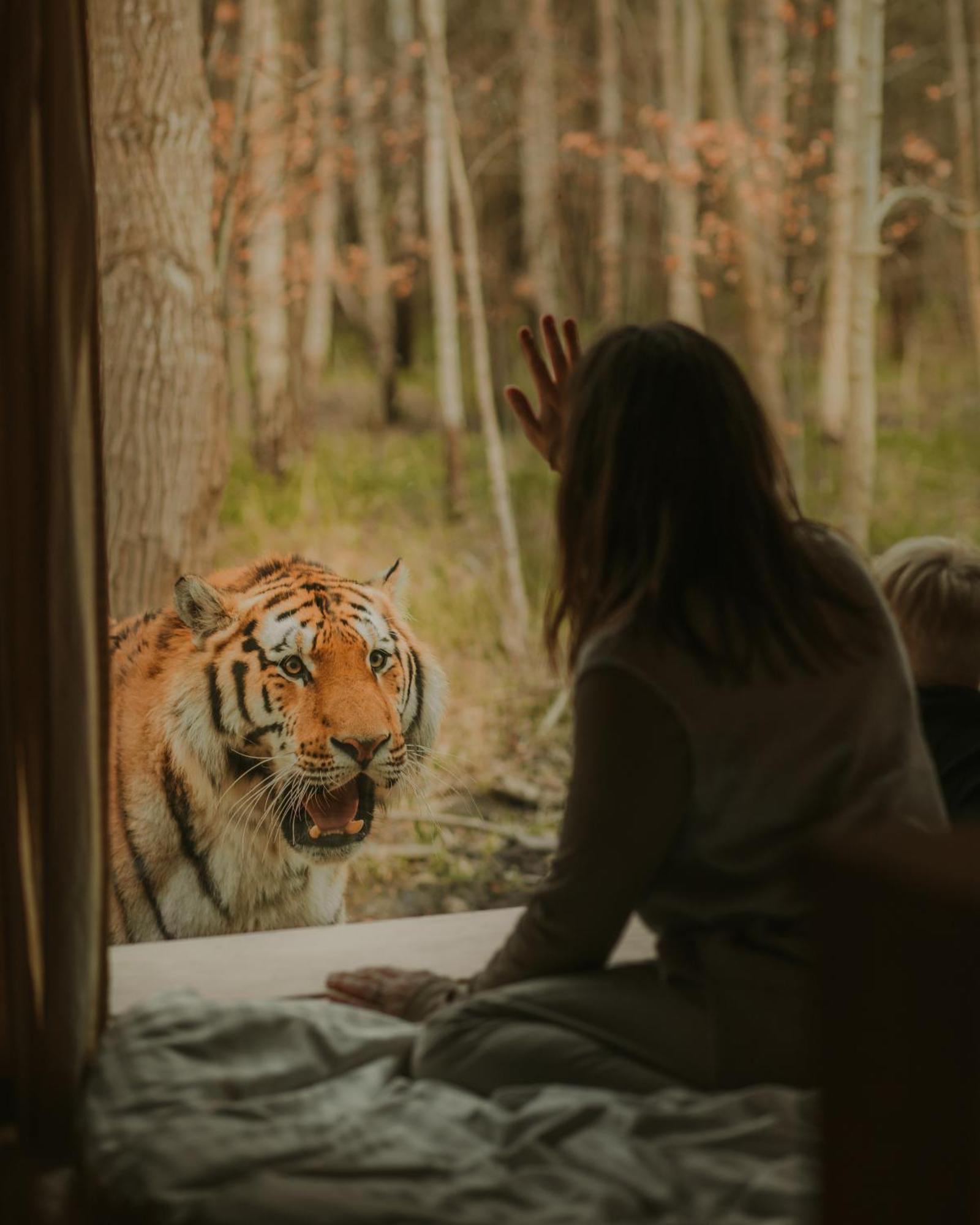 Knuthenborg Safaripark Ξενοδοχείο Maribo Εξωτερικό φωτογραφία