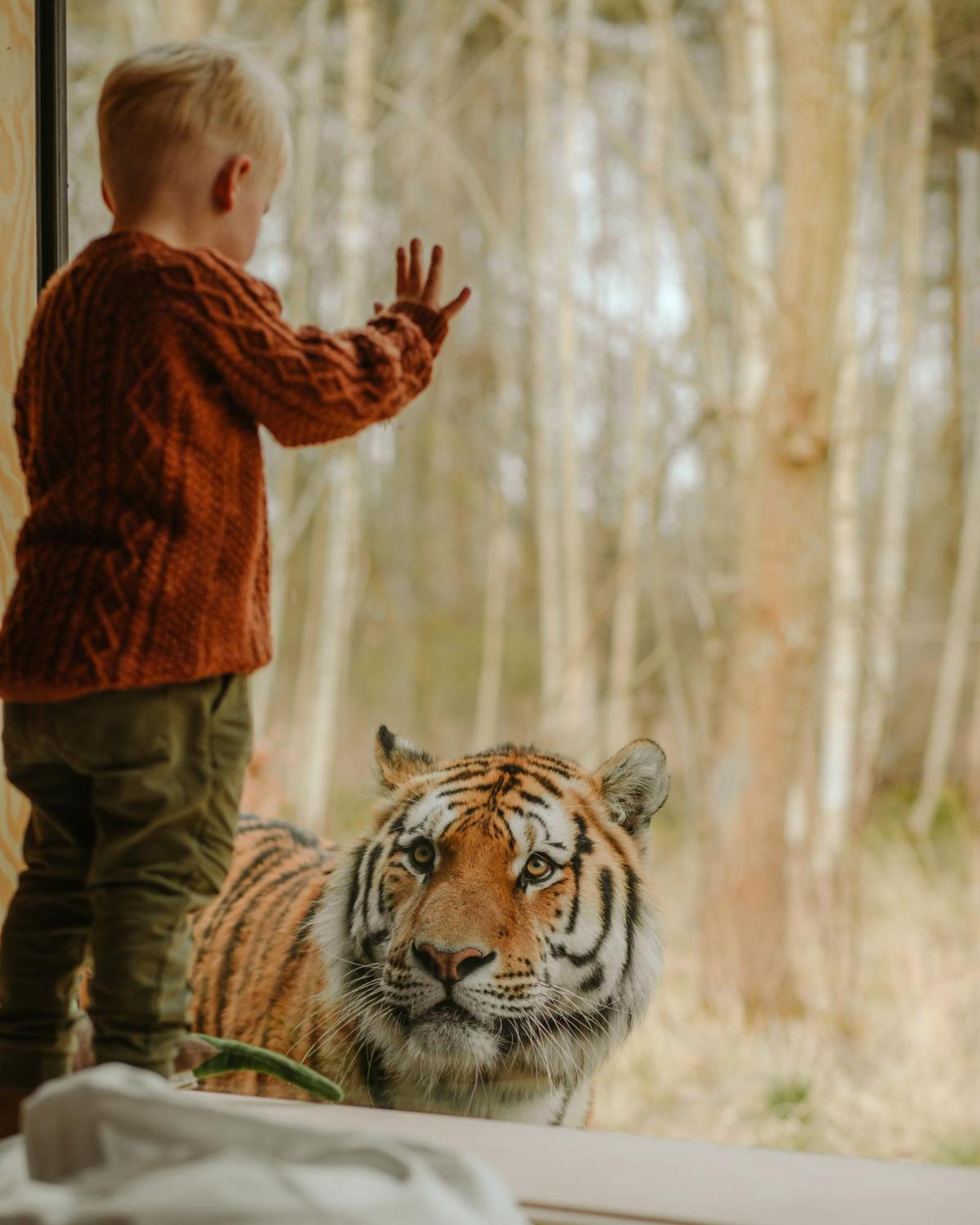 Knuthenborg Safaripark Ξενοδοχείο Maribo Εξωτερικό φωτογραφία