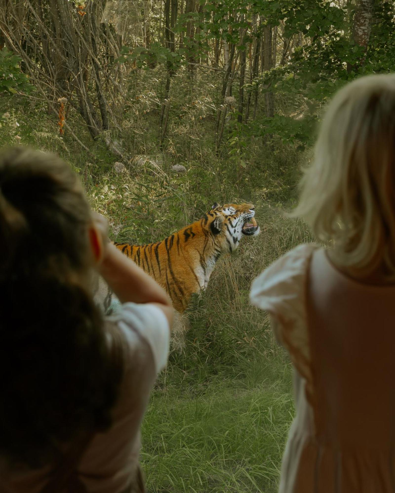Knuthenborg Safaripark Ξενοδοχείο Maribo Εξωτερικό φωτογραφία