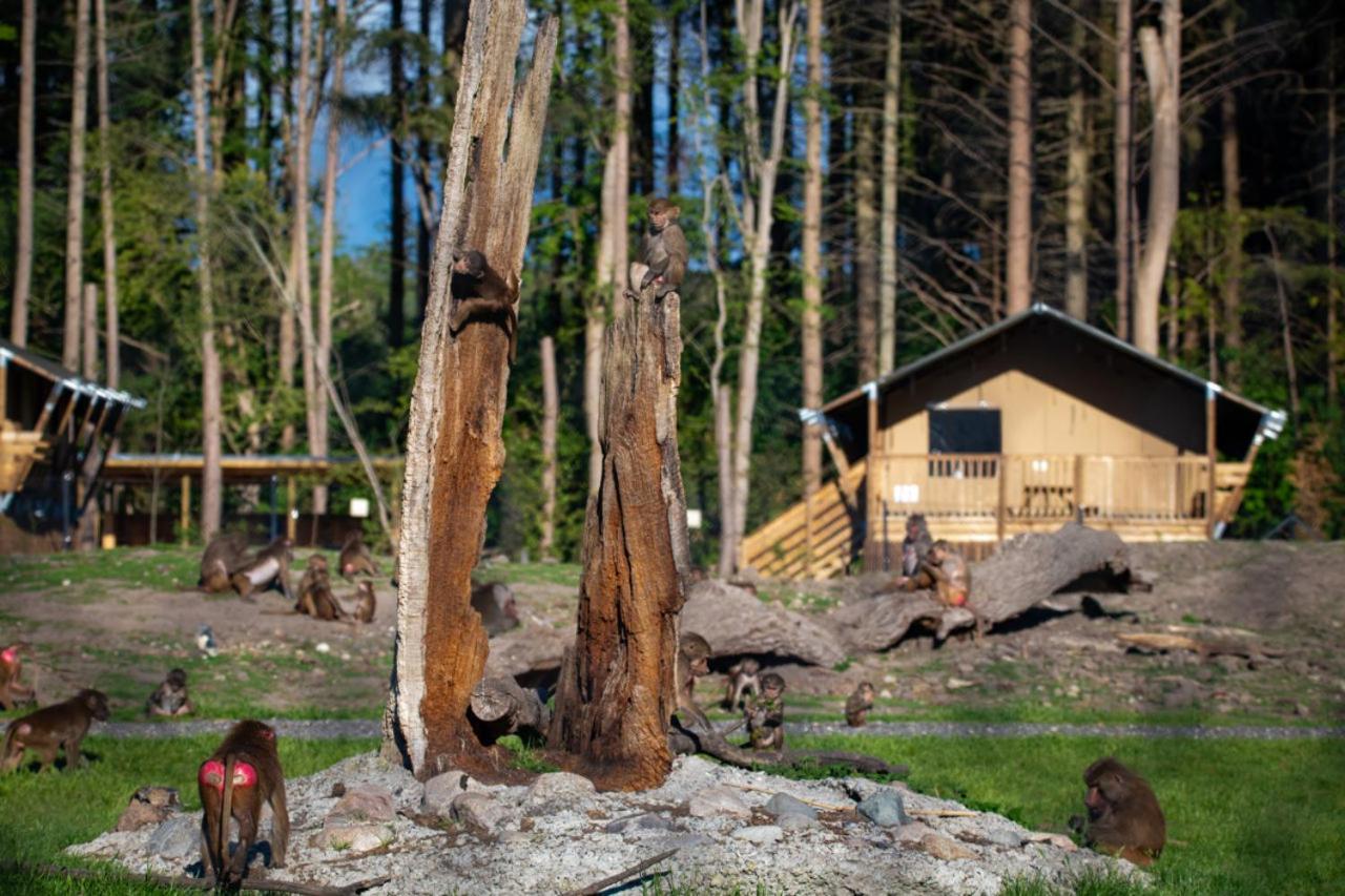 Knuthenborg Safaripark Ξενοδοχείο Maribo Εξωτερικό φωτογραφία