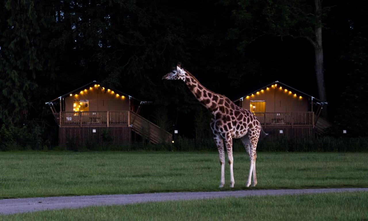 Knuthenborg Safaripark Ξενοδοχείο Maribo Εξωτερικό φωτογραφία