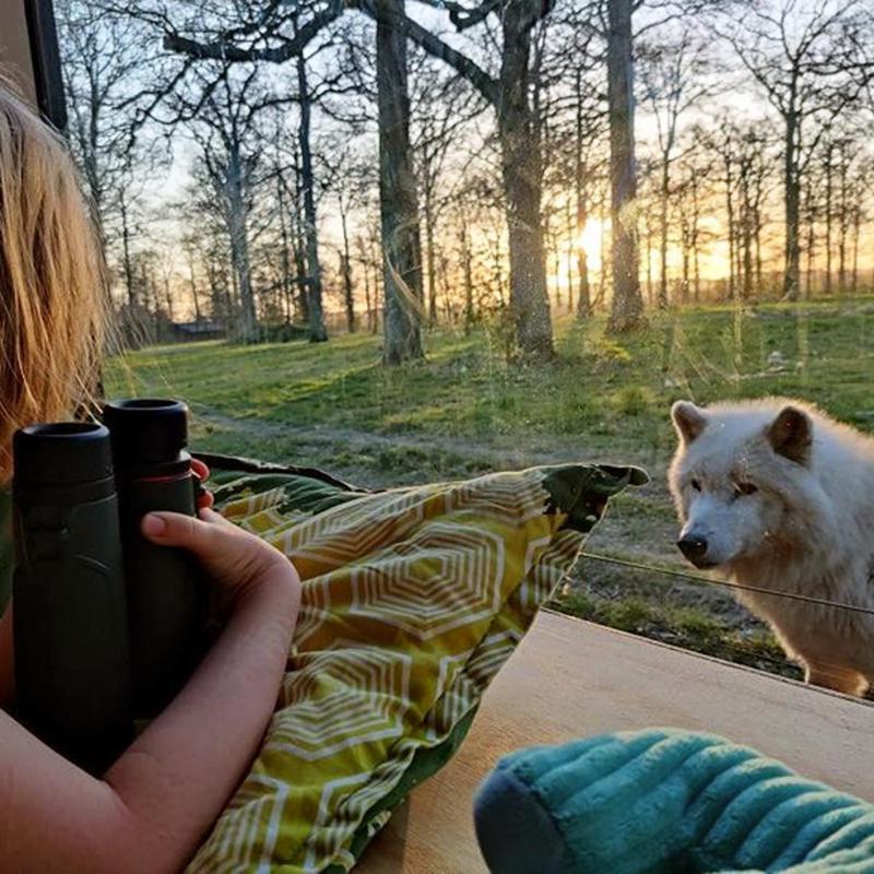 Knuthenborg Safaripark Ξενοδοχείο Maribo Εξωτερικό φωτογραφία