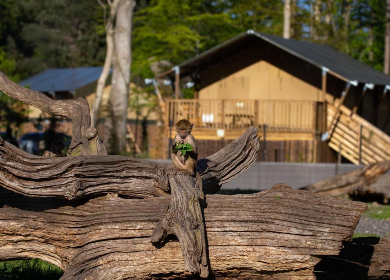 Knuthenborg Safaripark Ξενοδοχείο Maribo Εξωτερικό φωτογραφία